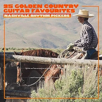 25 Golden Country Guitar Favourites