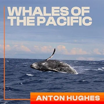 Whales of the Pacific
